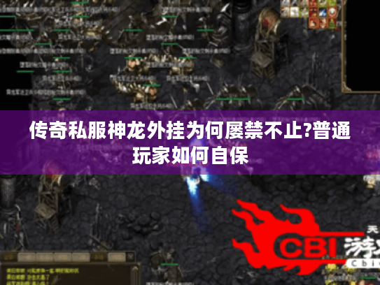 传奇私服神龙外挂为何屡禁不止?普通玩家如何自保