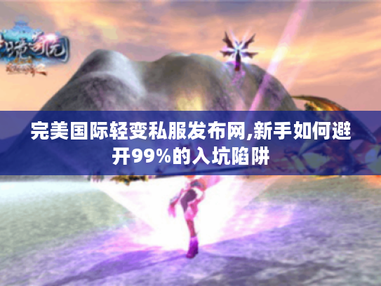 完美国际轻变私服发布网,新手如何避开99%的入坑陷阱