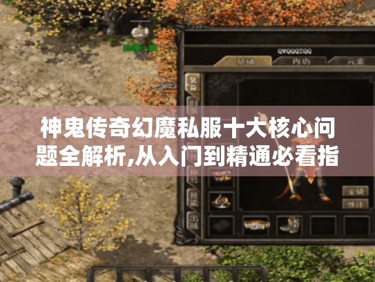 神鬼传奇幻魔私服十大核心问题全解析,从入门到精通必看指南 神鬼传奇幻魔私服十大核心问题全解析,从入门到精通必看指南