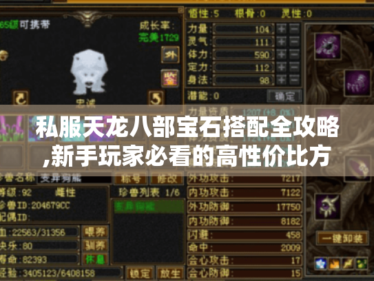 私服天龙八部宝石搭配全攻略,新手玩家必看的高性价比方案 私服天龙八部宝石搭配全攻略,新手玩家必看的高性价比方案