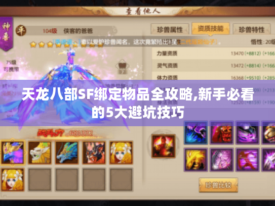 天龙八部SF绑定物品全攻略,新手必看的5大避坑技巧 天龙八部SF绑定物品全攻略,新手必看的5大避坑技巧