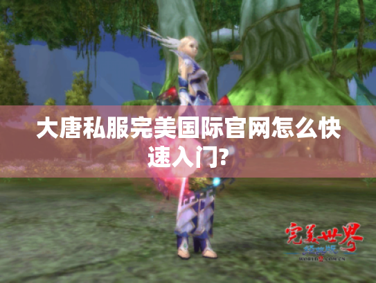 大唐私服完美国际官网怎么快速入门?