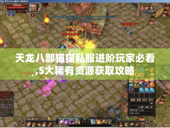 天龙八部猫猫私服进阶玩家必看,5大稀有资源获取攻略 天龙八部猫猫私服进阶玩家必看,5大稀有资源获取攻略