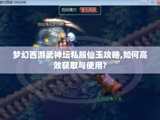 梦幻西游武神坛私服仙玉攻略,如何高效获取与使用?