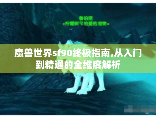 魔兽世界sf90终极指南,从入门到精通的全维度解析 魔兽世界sf90终极指南,从入门到精通的全维度解析