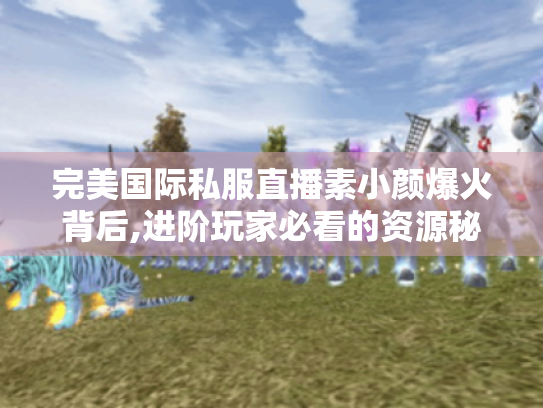 完美国际私服直播素小颜爆火背后,进阶玩家必看的资源秘籍 完美国际私服直播素小颜爆火背后,进阶玩家必看的资源秘籍