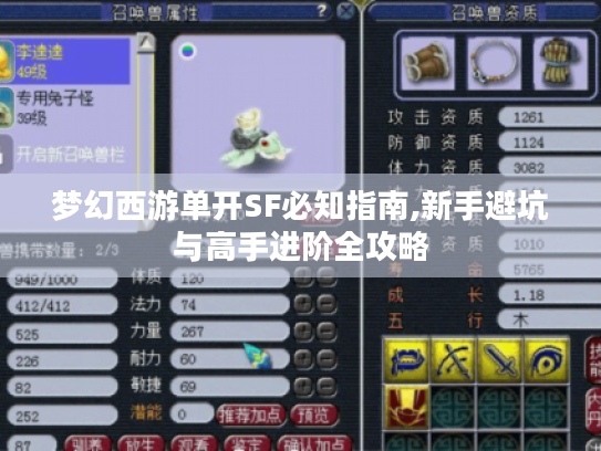梦幻西游单开SF必知指南,新手避坑与高手进阶全攻略 梦幻西游单开SF必知指南,新手避坑与高手进阶全攻略
