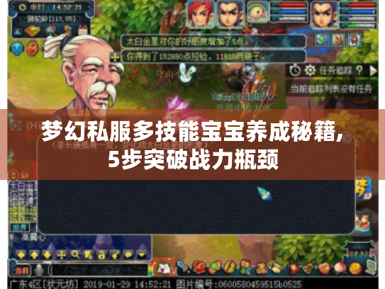 梦幻私服多技能宝宝养成秘籍,5步突破战力瓶颈 梦幻私服多技能宝宝养成秘籍,5步突破战力瓶颈