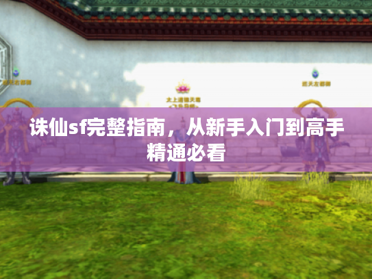 诛仙sf完整指南,从新手入门到高手精通必看 诛仙sf完整指南,从新手入门到高手精通必看