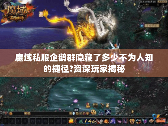 魔域私服企鹅群隐藏了多少不为人知的捷径?资深玩家揭秘 魔域私服企鹅群隐藏了多少不为人知的捷径?资深玩家揭秘