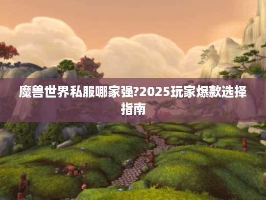 魔兽世界私服哪家强?2025玩家爆款选择指南
