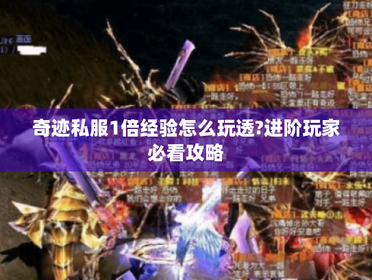 奇迹私服1倍经验怎么玩透?进阶玩家必看攻略 奇迹私服1倍经验怎么玩透?进阶玩家必看攻略