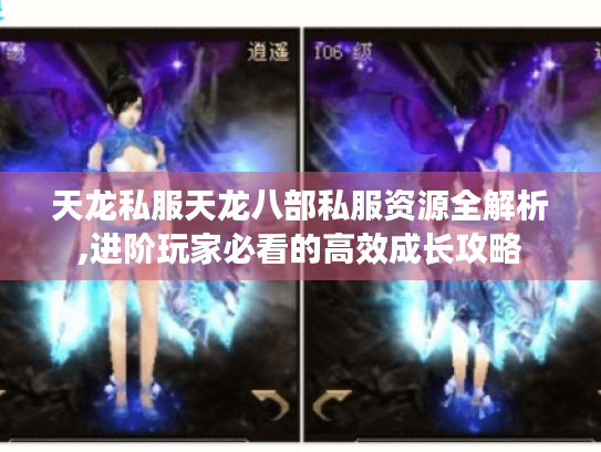 天龙私服天龙八部私服资源全解析,进阶玩家必看的高效成长攻略 天龙私服天龙八部私服资源全解析,进阶玩家必看的高效成长攻略