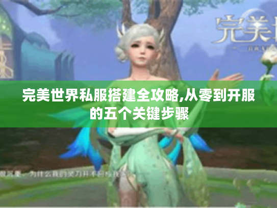 完美世界私服搭建全攻略,从零到开服的五个关键步骤 完美世界私服搭建全攻略,从零到开服的五个关键步骤