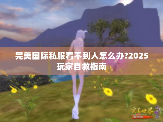 完美国际私服看不到人怎么办?2025玩家自救指南 完美国际私服看不到人怎么办?2025玩家自救指南