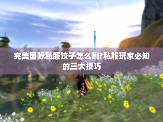 完美国际私服饺子怎么刷?私服玩家必知的三大技巧 完美国际私服饺子怎么刷?私服玩家必知的三大技巧