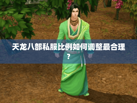 天龙八部私服比例如何调整最合理? 天龙八部私服比例如何调整最合理?