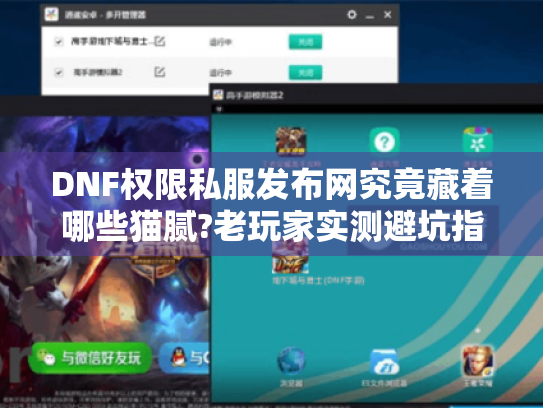 DNF权限私服发布网究竟藏着哪些猫腻?老玩家实测避坑指南 DNF权限私服发布网究竟藏着哪些猫腻?老玩家实测避坑指南