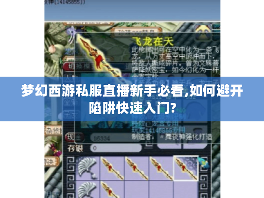 梦幻西游私服直播新手必看,如何避开陷阱快速入门?