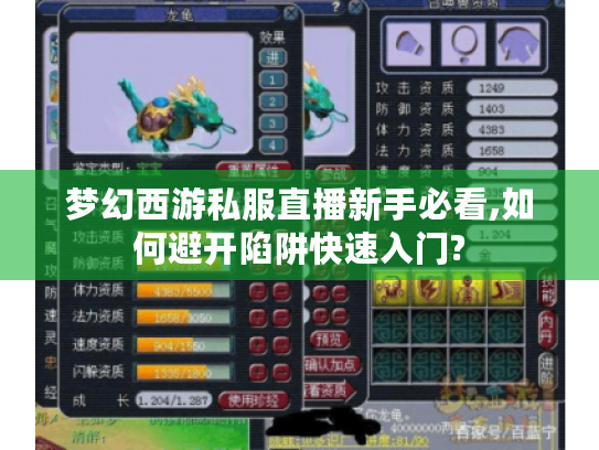 梦幻西游私服直播新手必看,如何避开陷阱快速入门? 梦幻西游私服直播新手必看,如何避开陷阱快速入门?