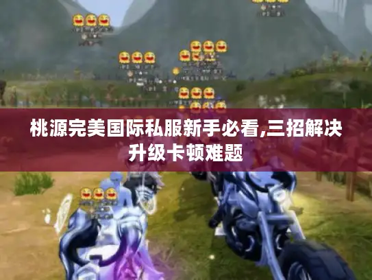 桃源完美国际私服新手必看,三招解决升级卡顿难题