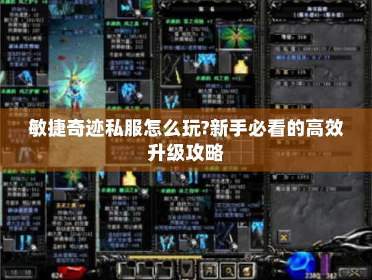 敏捷奇迹私服怎么玩?新手必看的高效升级攻略