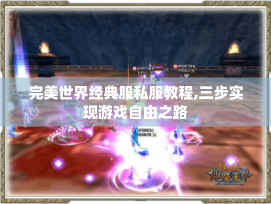 完美世界经典服私服教程,三步实现游戏自由之路 完美世界经典服私服教程,三步实现游戏自由之路