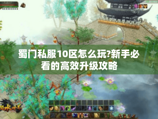 蜀门私服10区怎么玩?新手必看的高效升级攻略 蜀门私服10区怎么玩?新手必看的高效升级攻略