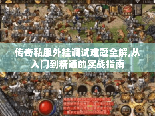 传奇私服外挂调试难题全解,从入门到精通的实战指南 传奇私服外挂调试难题全解,从入门到精通的实战指南