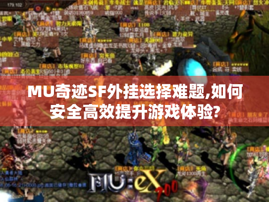 MU奇迹SF外挂选择难题,如何安全高效提升游戏体验? MU奇迹SF外挂选择难题,如何安全高效提升游戏体验?
