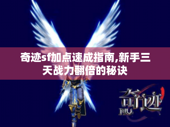 奇迹sf加点速成指南,新手三天战力翻倍的秘诀