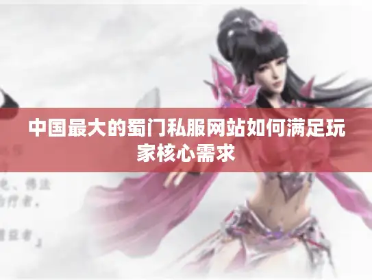 中国最大的蜀门私服网站如何满足玩家核心需求