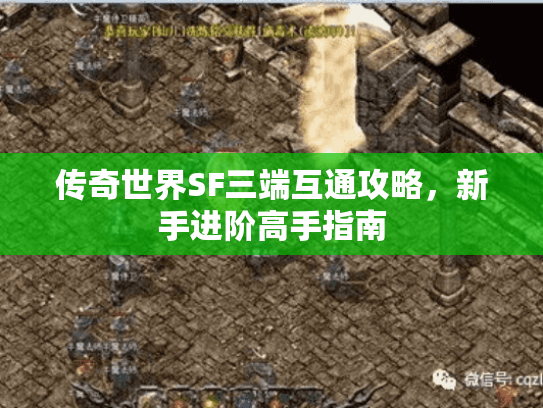 传奇世界SF三端互通攻略,新手进阶高手指南 传奇世界SF三端互通攻略,新手进阶高手指南