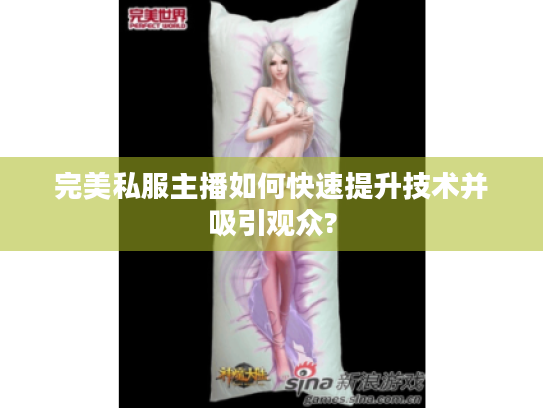 完美私服主播如何快速提升技术并吸引观众? 完美私服主播如何快速提升技术并吸引观众?