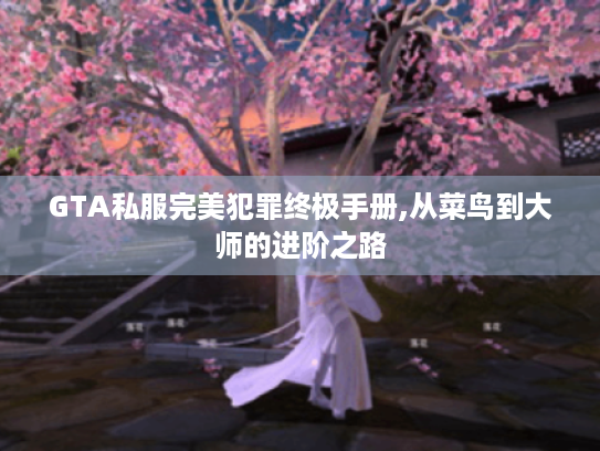 GTA私服完美犯罪终极手册,从菜鸟到大师的进阶之路 GTA私服完美犯罪终极手册,从菜鸟到大师的进阶之路