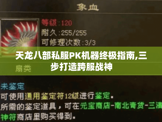 天龙八部私服PK机器终极指南,三步打造跨服战神 天龙八部私服PK机器终极指南,三步打造跨服战神