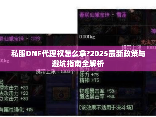 私服DNF代理权怎么拿?2025最新政策与避坑指南全解析 私服DNF代理权怎么拿?2025最新政策与避坑指南全解析
