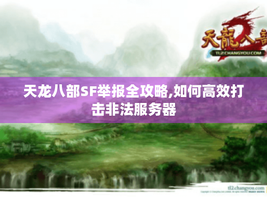 天龙八部SF举报全攻略,如何高效打击非法服务器 天龙八部SF举报全攻略,如何高效打击非法服务器