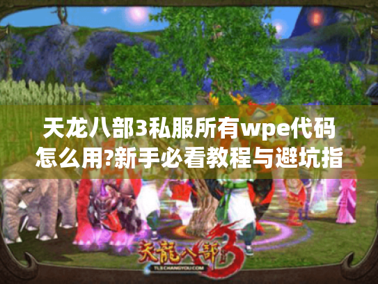 天龙八部3私服所有wpe代码怎么用?新手必看教程与避坑指南 天龙八部3私服所有wpe代码怎么用?新手必看教程与避坑指南