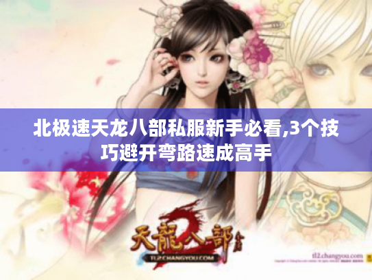 北极速天龙八部私服新手必看,3个技巧避开弯路速成高手 北极速天龙八部私服新手必看,3个技巧避开弯路速成高手