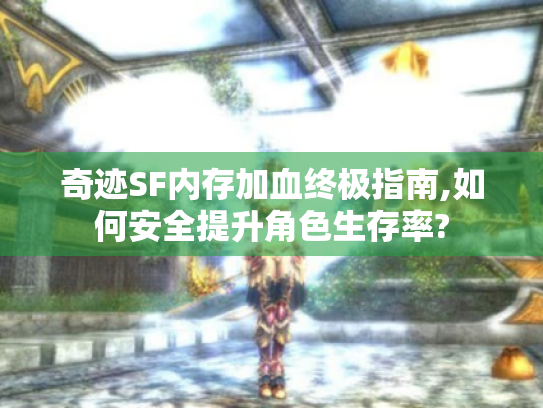 奇迹SF内存加血终极指南,如何安全提升角色生存率?