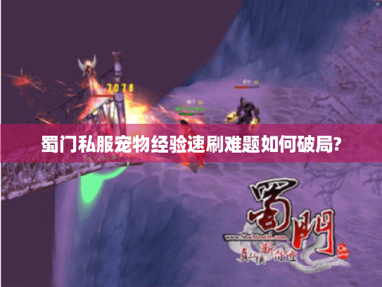 蜀门私服宠物经验速刷难题如何破局? 蜀门私服宠物经验速刷难题如何破局?