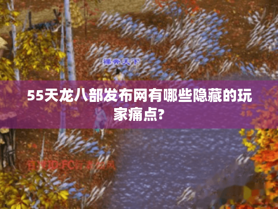 55天龙八部发布网有哪些隐藏的玩家痛点?