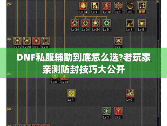DNF私服辅助到底怎么选?老玩家亲测防封技巧大公开