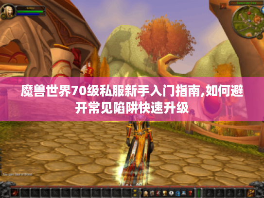 魔兽世界70级私服新手入门指南,如何避开常见陷阱快速升级