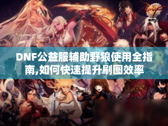 DNF公益服辅助野狼使用全指南,如何快速提升刷图效率
