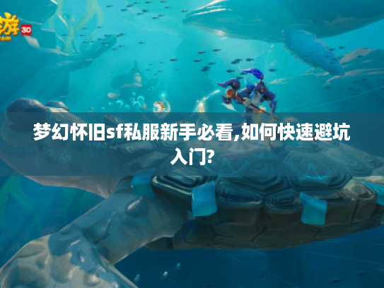 梦幻怀旧sf私服新手必看,如何快速避坑入门?