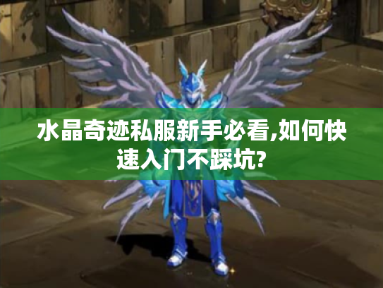 水晶奇迹私服新手必看,如何快速入门不踩坑? 水晶奇迹私服新手必看,如何快速入门不踩坑?