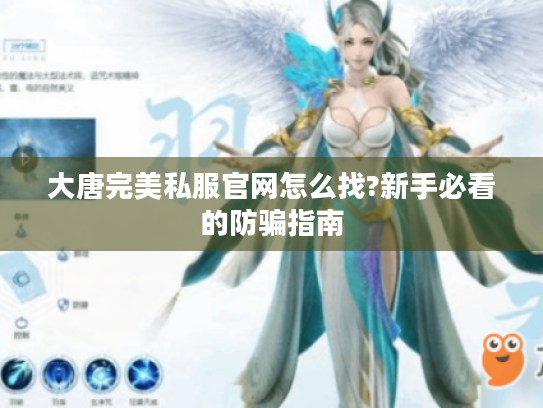 大唐完美私服官网怎么找?新手必看的防骗指南 大唐完美私服官网怎么找?新手必看的防骗指南