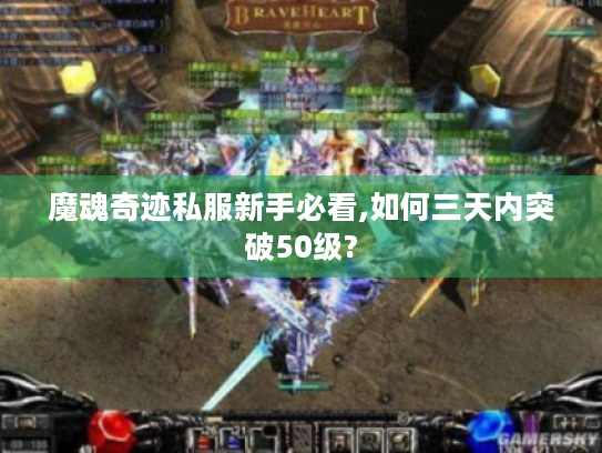魔魂奇迹私服新手必看,如何三天内突破50级?